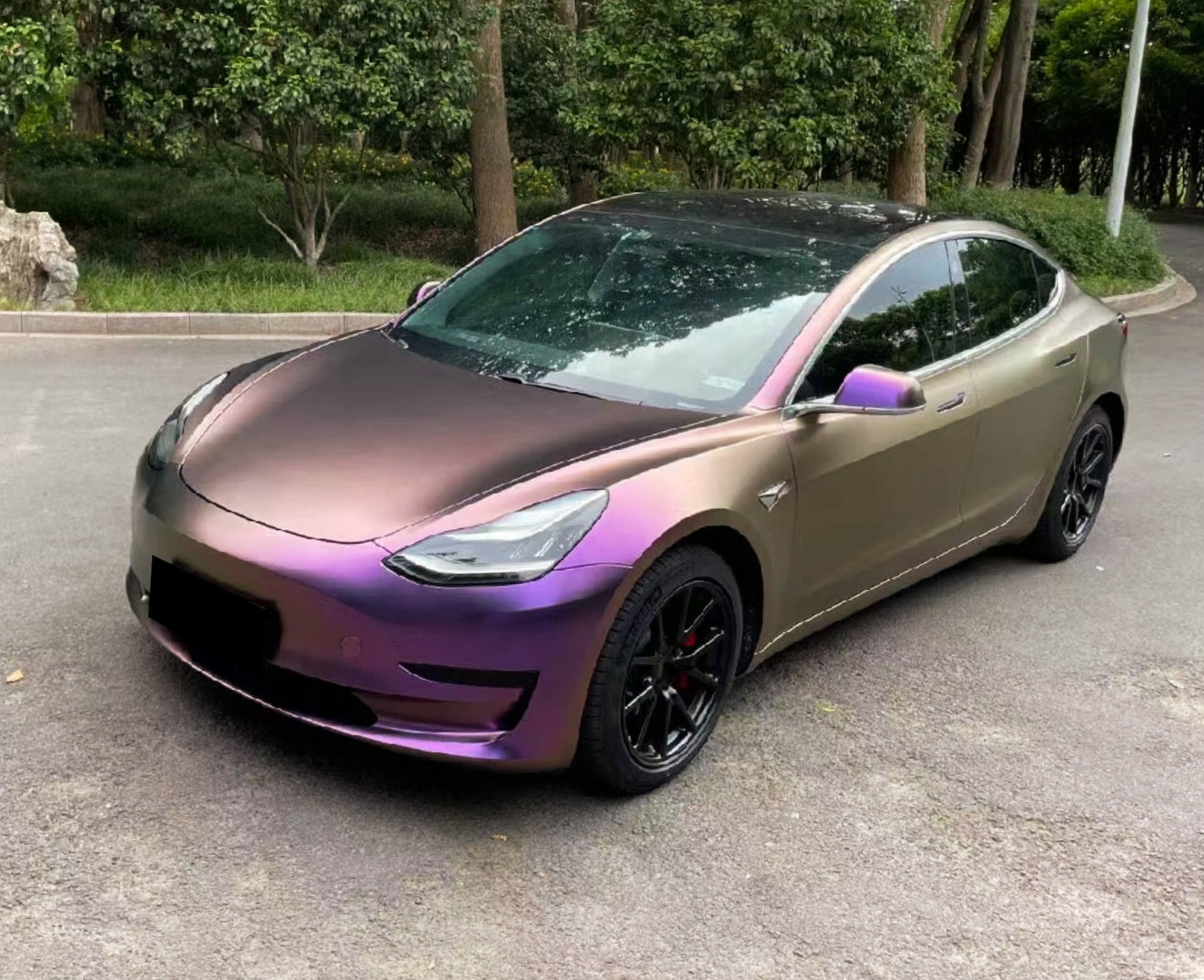 Galaxy Dust Matte Purple Bronze Vinyl Wrap