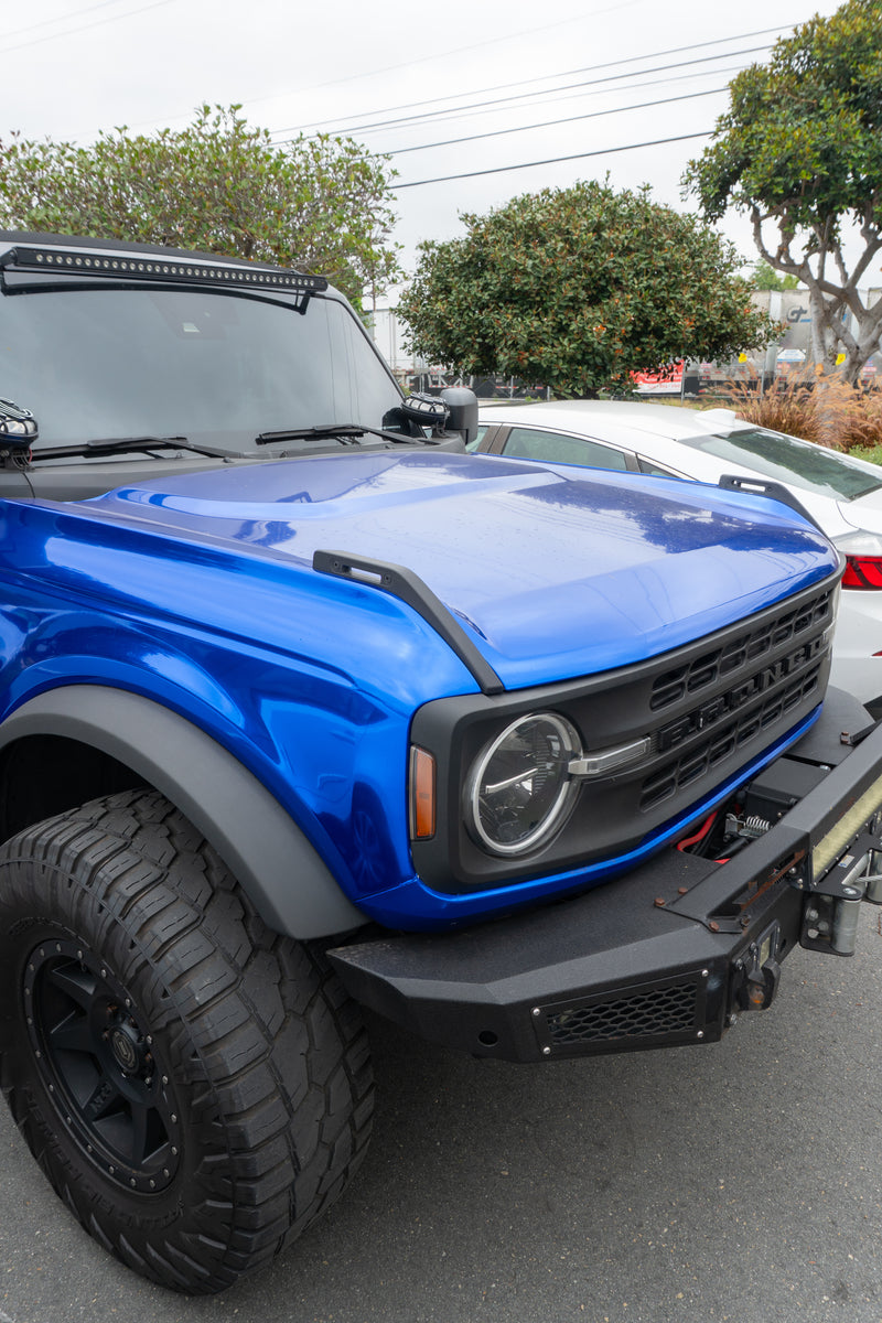 PET-CHROME-ROYAL BLUE