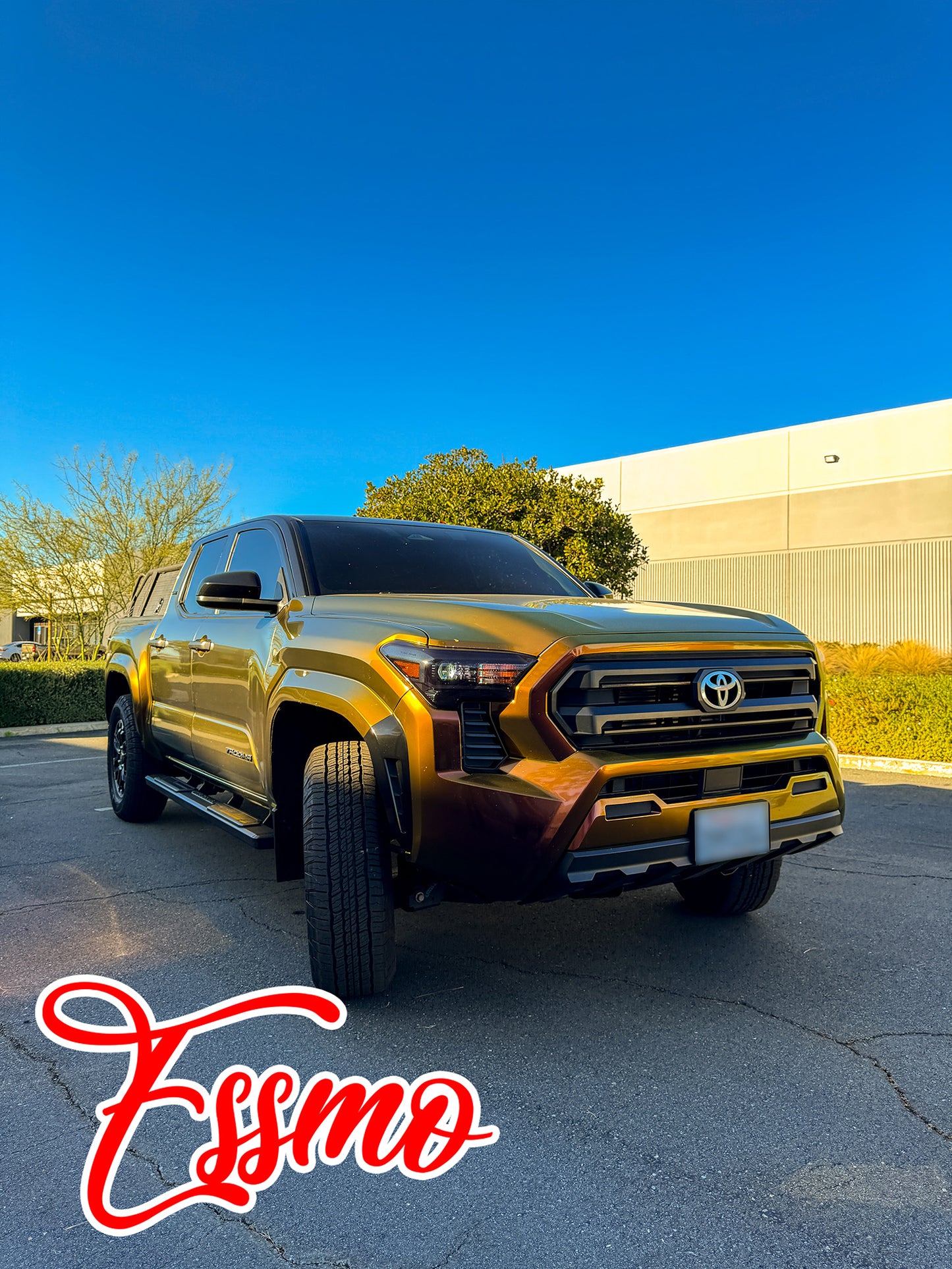 PET Galaxy Dust Gloss Phoenix Blaze Vinyl Wrap
