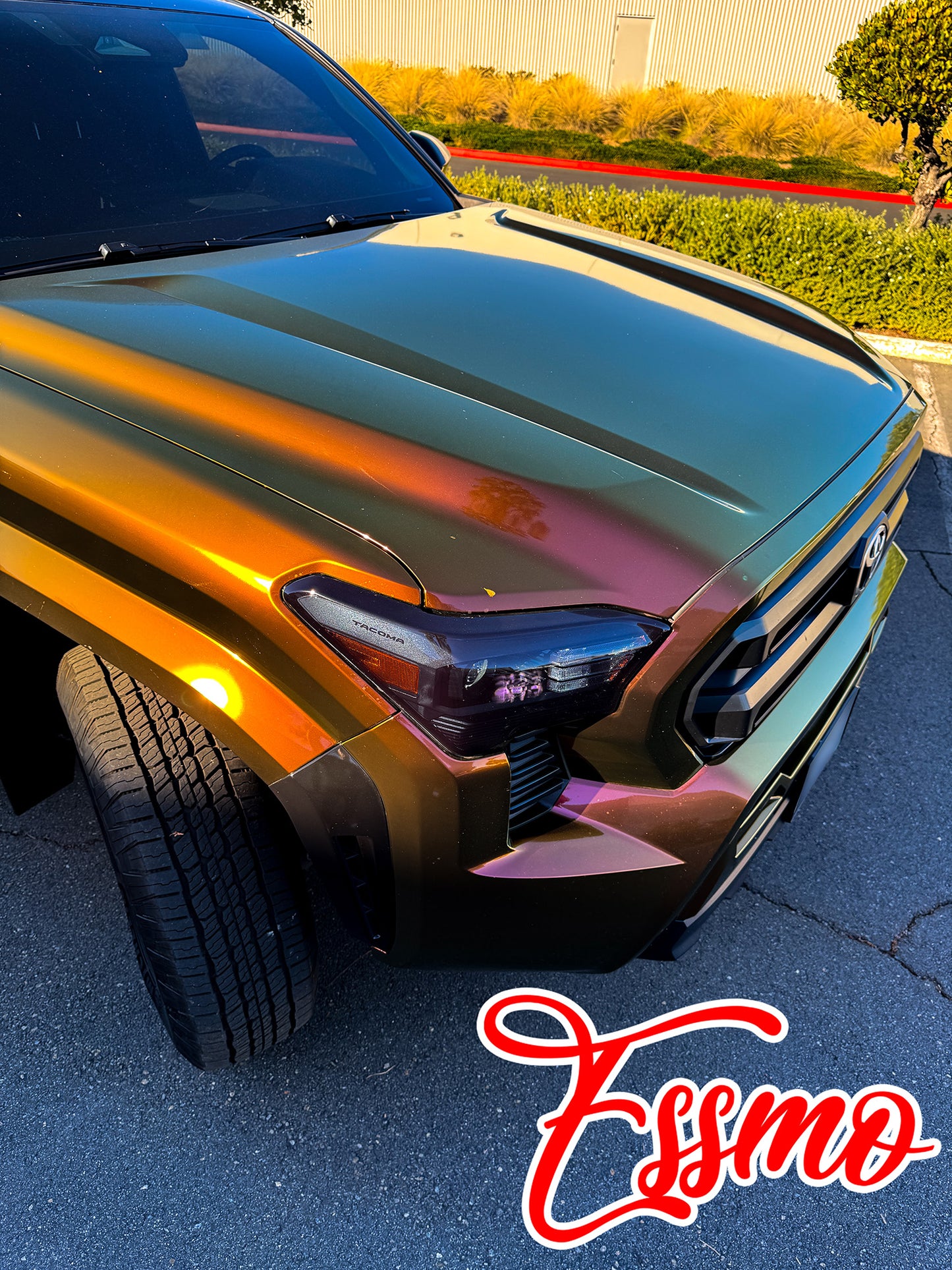 PET Galaxy Dust Gloss Phoenix Blaze Vinyl Wrap