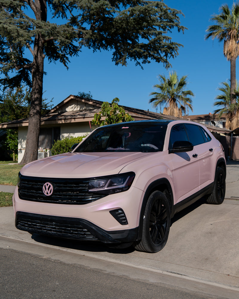 PPF-SCG-PINK PURPLE