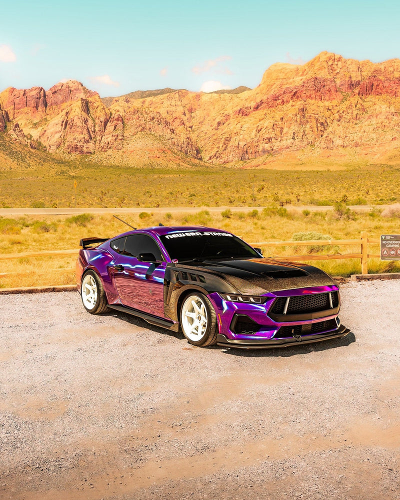 PET-HOLO-PURPLE